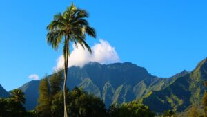 Hawaiian Haven: Exploring the Best Vacation Spots in this Exotic Island Paradise