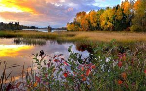 Canada's Cozy Retreats: Exploring the Enchanting Hotels of the Great White North