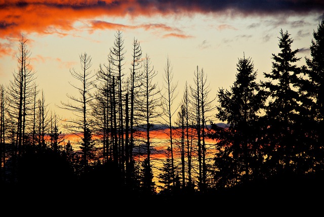 Hidden Gems of Ontario: Uncovering Enchanting Getaways in Canada's Great White North