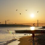 Enchanting Lisbon: Uncovering Boutique Hotels in Portugal's Charming Capital.